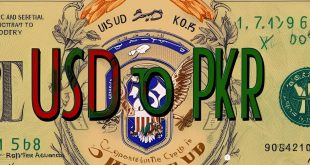 USD to PKR Rate Stability