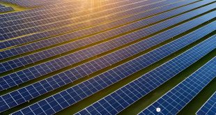 ​Solar Panel and Lithium Battery Prices Fall in Pakistan, Boosting Renewable Energy Adoption