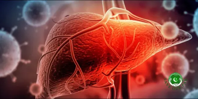 Hepatitis C: 16.5 Million People to Be Screened by 2030, Says Prime Minister
