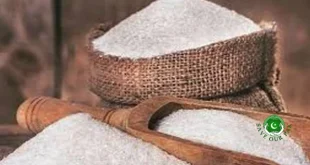 First Tender for Importing 100,000 Tons of Sugar Cancelled Over Quality Issues