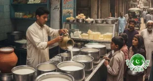 How Much Will Milk Cost From October 11? Dairy Farmers Make a Big Claim