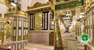 Big Increase in Visitors to Riyaz-ul-Jannah in Masjid-e-Nabawi