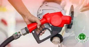 How much levy has been added to petrol? Full details presented in the Senate
