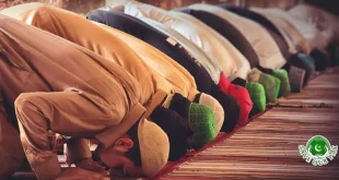 How Prostration Benefits the Brain, New Research Reveals