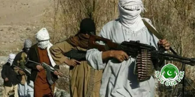 Clear Evidence Emerges of Afghan Soil Being Used in Terror Activities in Pakistan