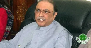 President Says PPP Intends to Continue Cooperation with PML-N
