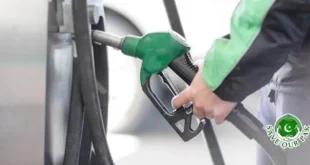 Relief for the Public: Government takes big decision instead of increasing petrol prices