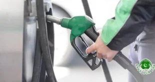Relief for the public: Government takes big decision instead of increasing petrol prices