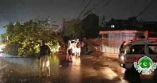 Stormy Rain in Karachi: Death Toll Rises to 19, More Than 30 Injured