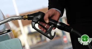 Will Petrol Prices Drop by Half?