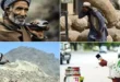 International Workers’ Day Observed Across Pakistan and the World
