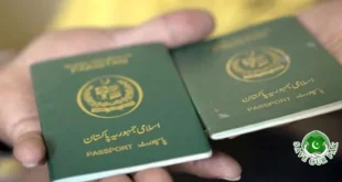 Who Needs an E-Protector Certificate Before Going Abroad?